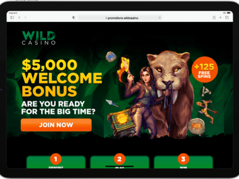 Wild Casino $5000 Welcome Bonus